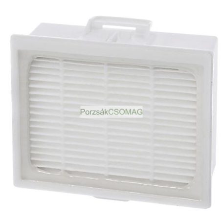 Hepa szűrő Bosch 17000725