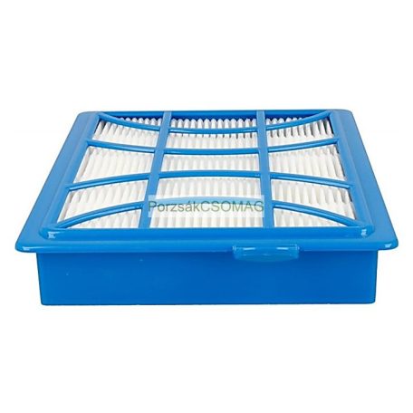 Hepa szűrő AEG/Philips 9000serie CP1160/01 EFH12