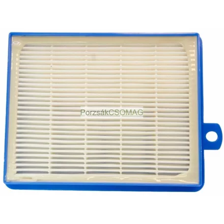 Hepa szűrő Electrolux EFS1W AllergyPlus 9001677682 EFH12W