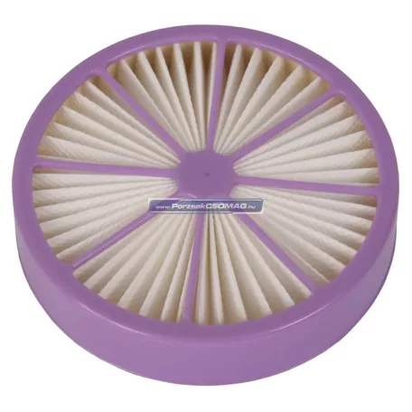 Hepa szűrő Rowenta RS-RH4969