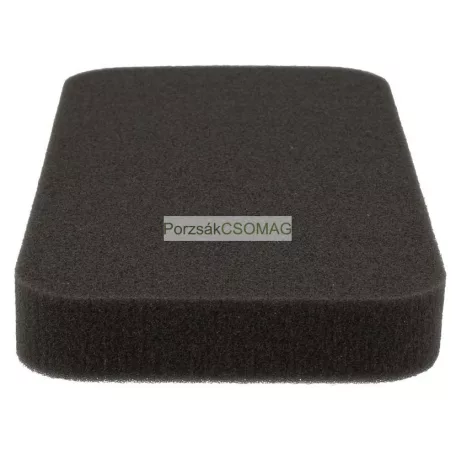 Motorszűrő Rowenta RS-RT3658