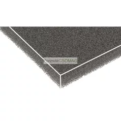 Motorszűrő szivacs Rowenta RS-RT4314