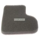 Motorszűrő Rowenta RS-RT900065