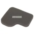 Motorszűrő Rowenta RS-RT900065