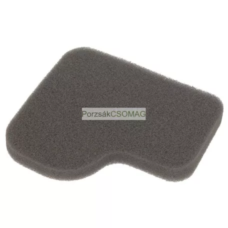 Motorszűrő Rowenta RS-RT900065