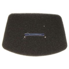 Motorszűrő Rowenta RS-RT900340