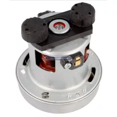 Motor Rowenta RS-RT900587