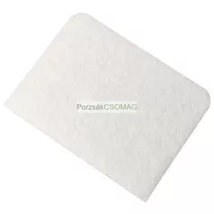 Motorszűrő Rowenta RS-RT900736