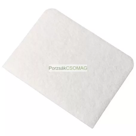 Motorszűrő Rowenta RS-RT900736